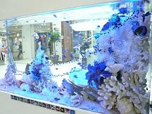 AquaXmas_2